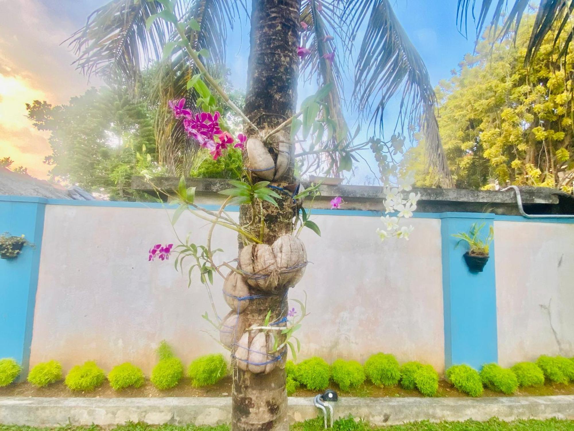 Villa Riverside Aluthgama Eksteriør bilde